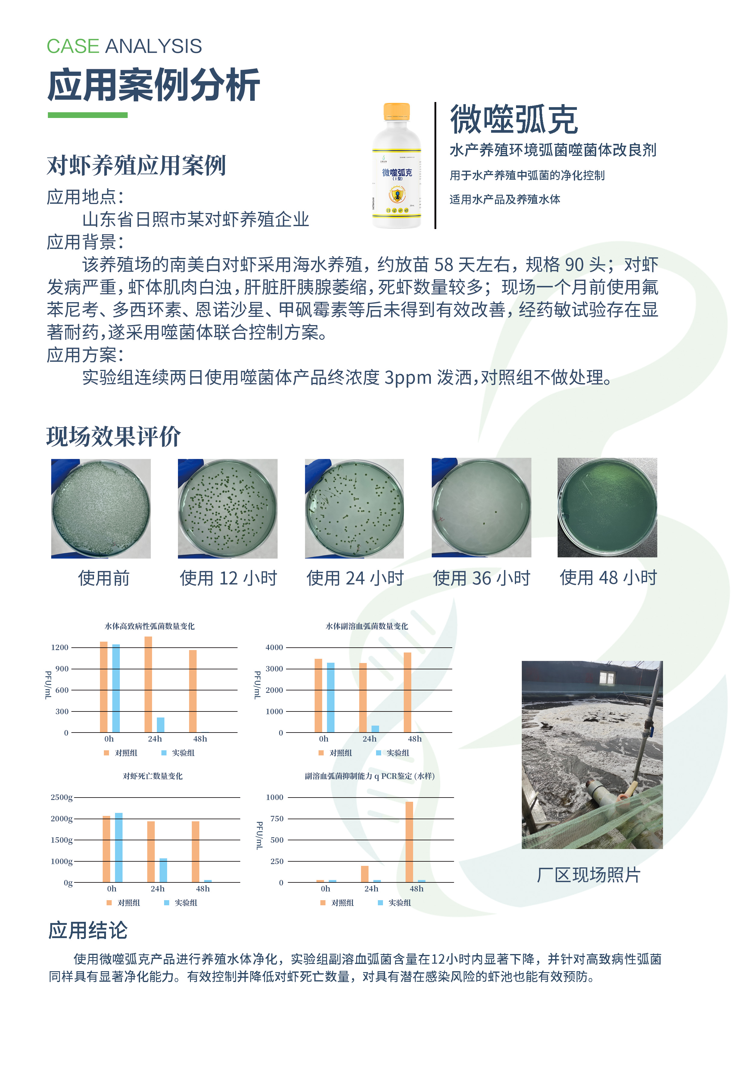 对虾案例.jpg