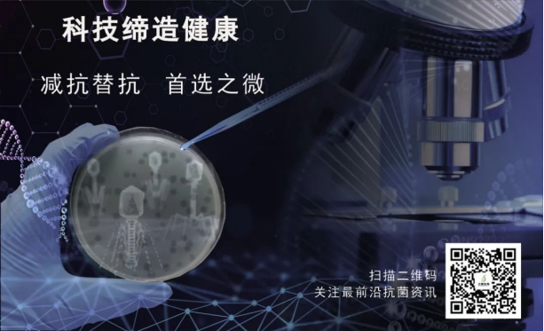 113336123.png image.png