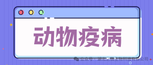 农村农业部发布：2023年12月全国主要动物疫病情况