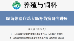 噬菌体疗法—鸡大肠杆菌病的治疗利器
