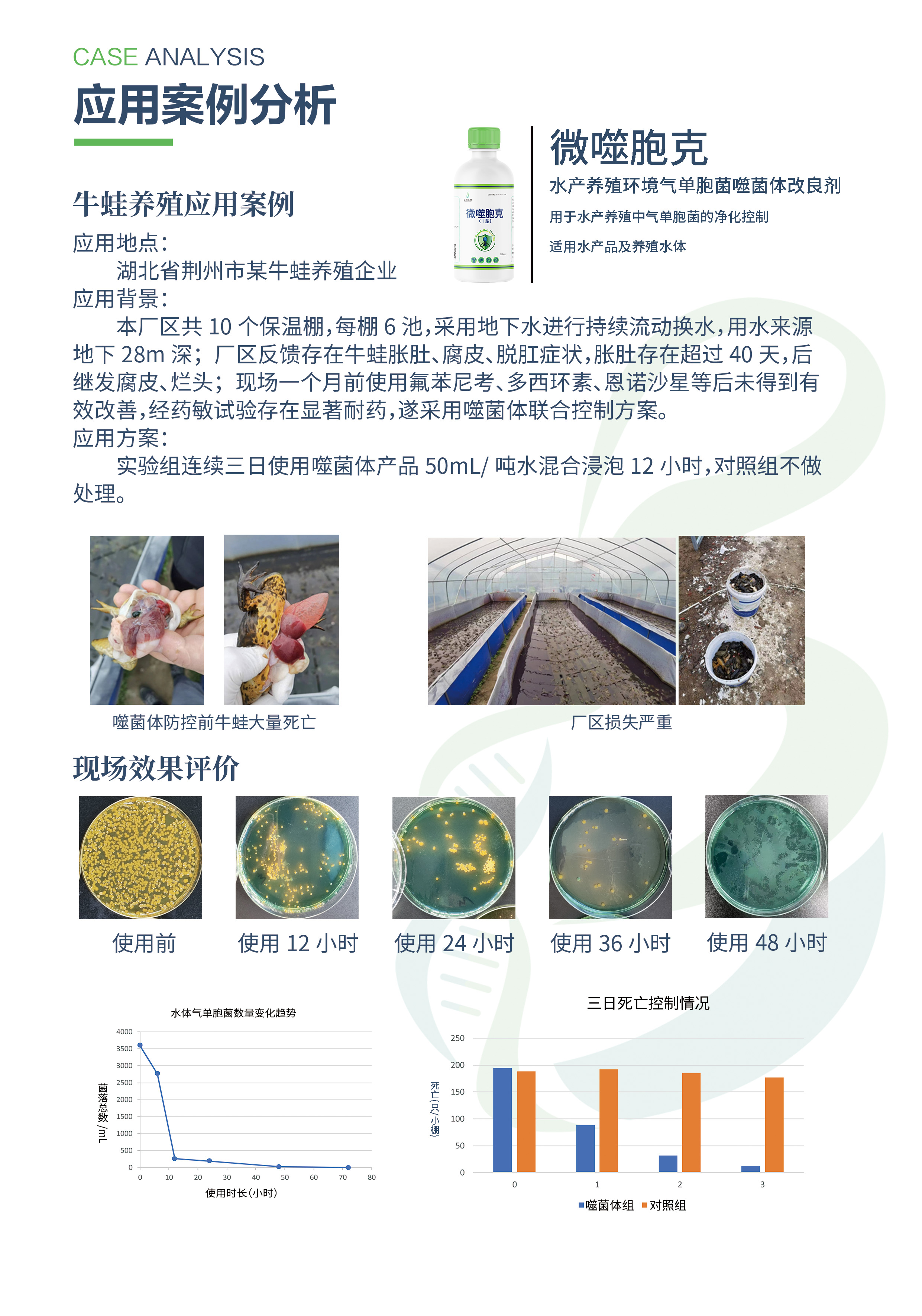 牛蛙案例.jpg
