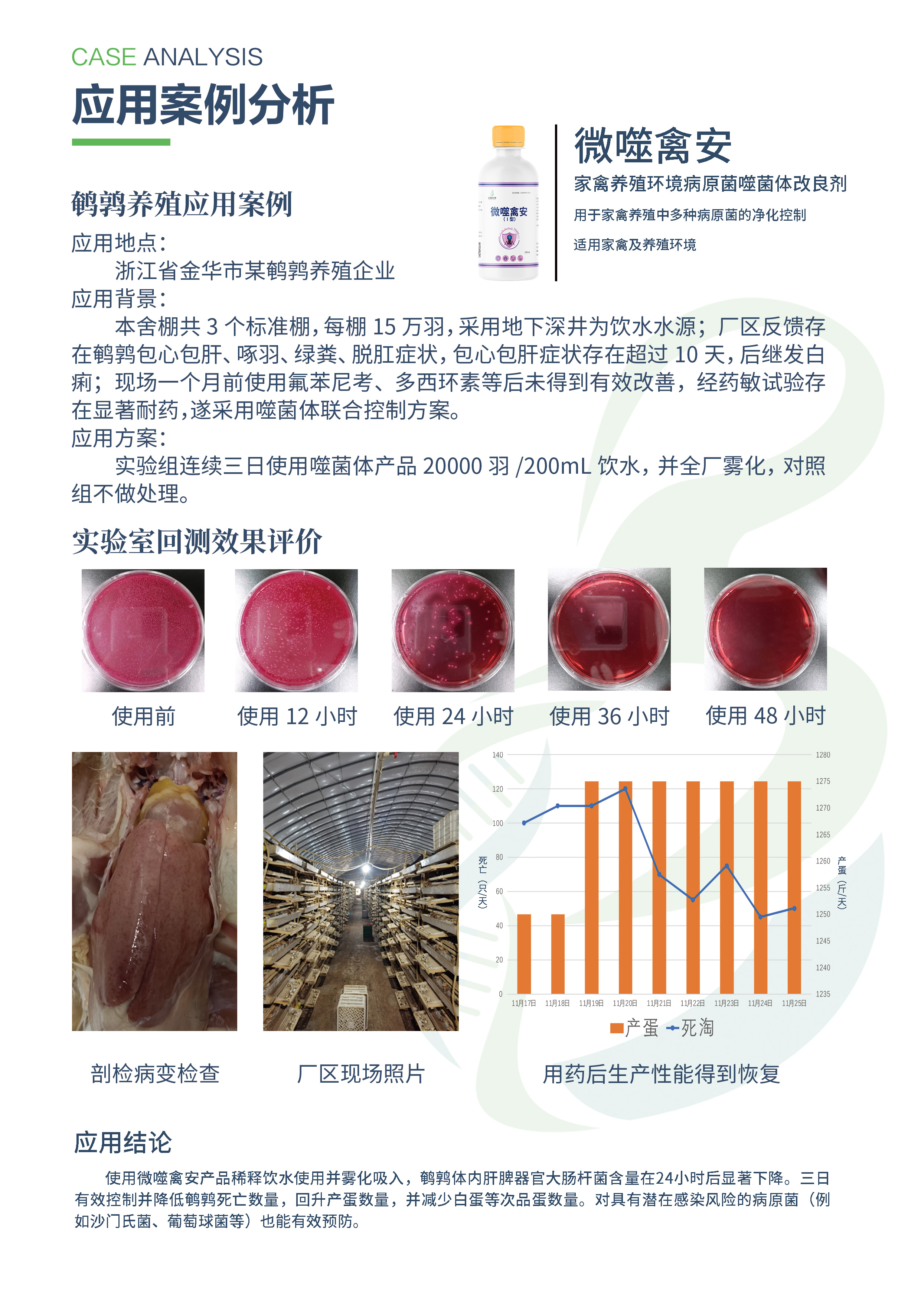 鹌鹑案例.jpg