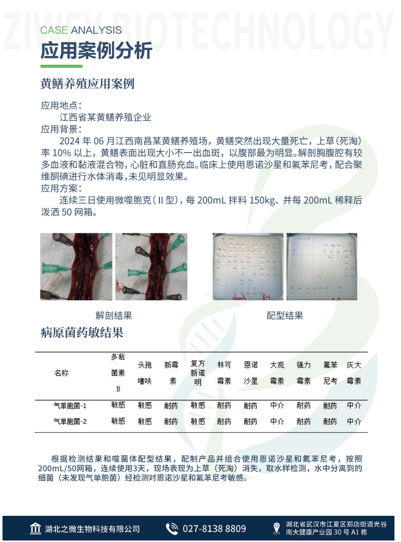 黄鳝案例1.png
